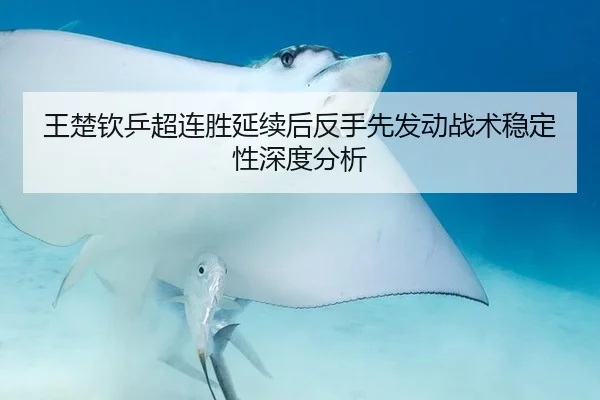 王楚钦乒超连胜延续后反手先发动战术稳定性深度分析